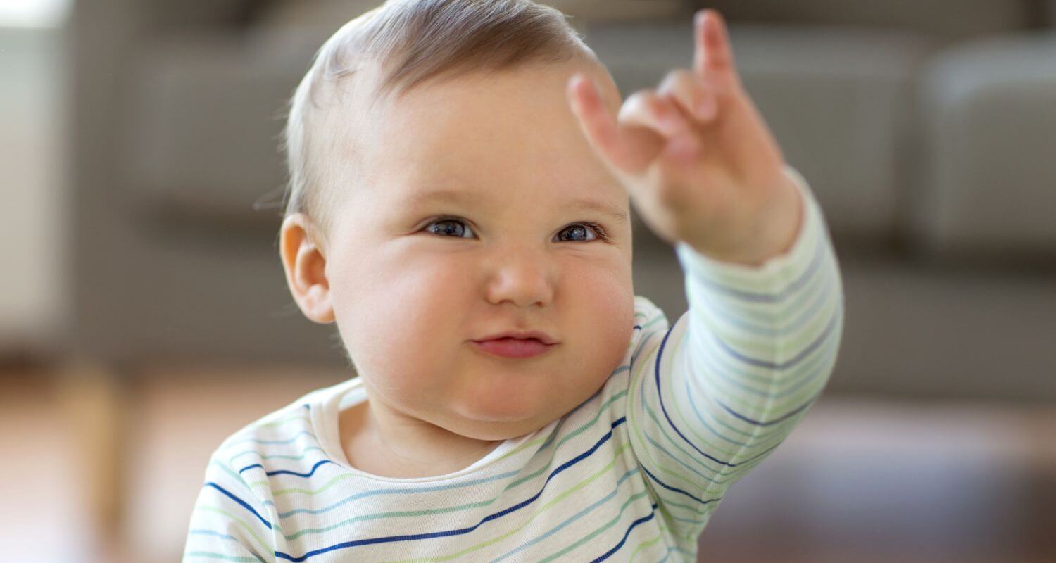 What Is Baby Sign Language Petit Jovial
