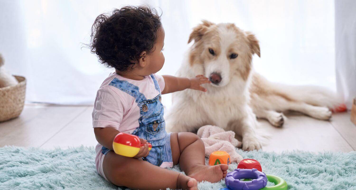 3 tips for teaching kids to care for pets